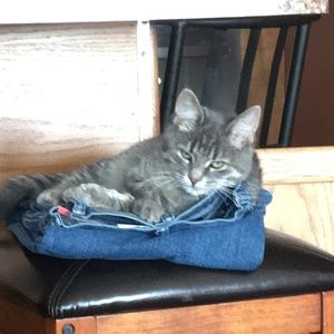 Meet your Posher, Marissa